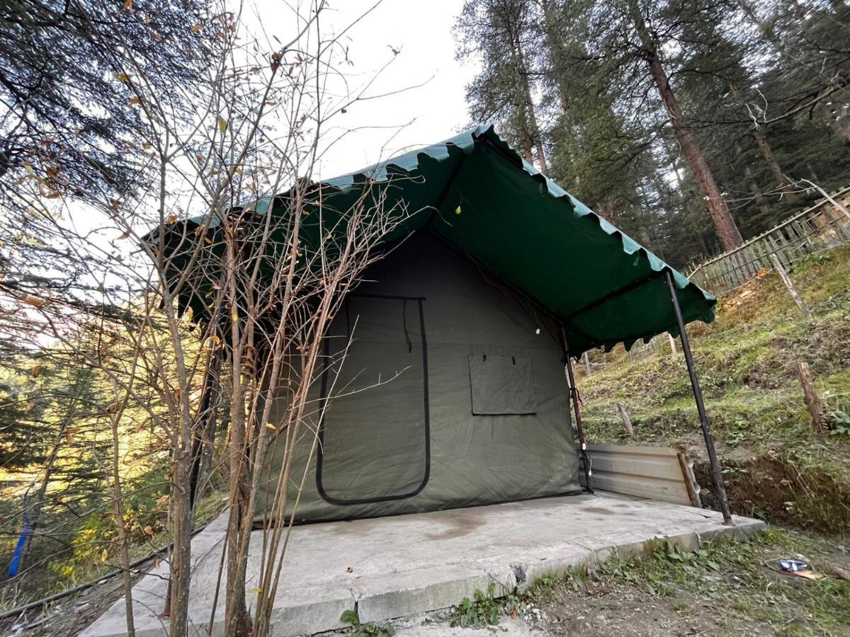 Hotel Kasol Jungle Retreat Exterior foto